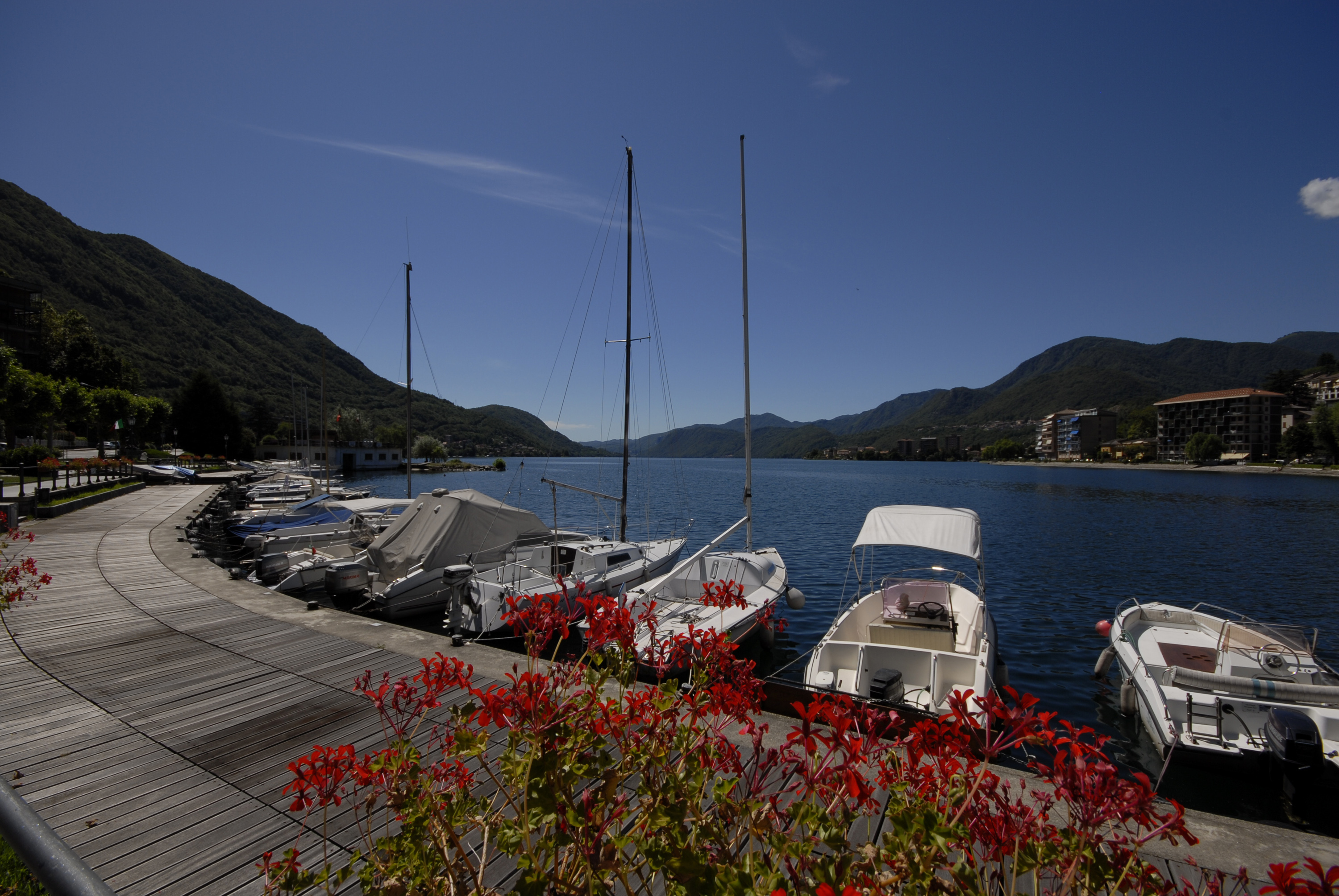 The Marina